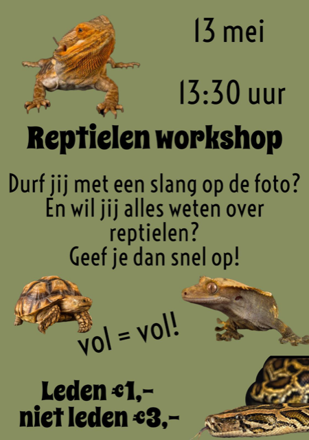 Reptielen workshop.png